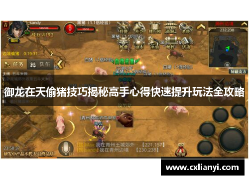 御龙在天偷猪技巧揭秘高手心得快速提升玩法全攻略