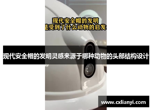 现代安全帽的发明灵感来源于哪种动物的头部结构设计 现代安全帽的发明灵感来源于哪种动物的头部结构设计