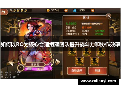 如何以RO为核心合理组建团队提升战斗力和协作效率 如何以RO为核心合理组建团队提升战斗力和协作效率