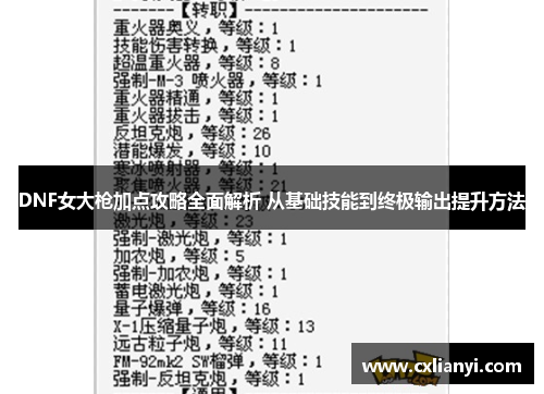 DNF女大枪加点攻略全面解析 从基础技能到终极输出提升方法