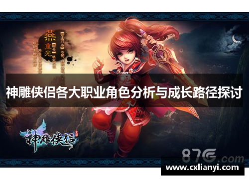 神雕侠侣各大职业角色分析与成长路径探讨
